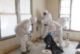 Asbestos Abatement